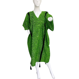 WhatsApp_Image_2026-08-06_at_00.59.13__3_-removebg-preview The Jade Vine Dress